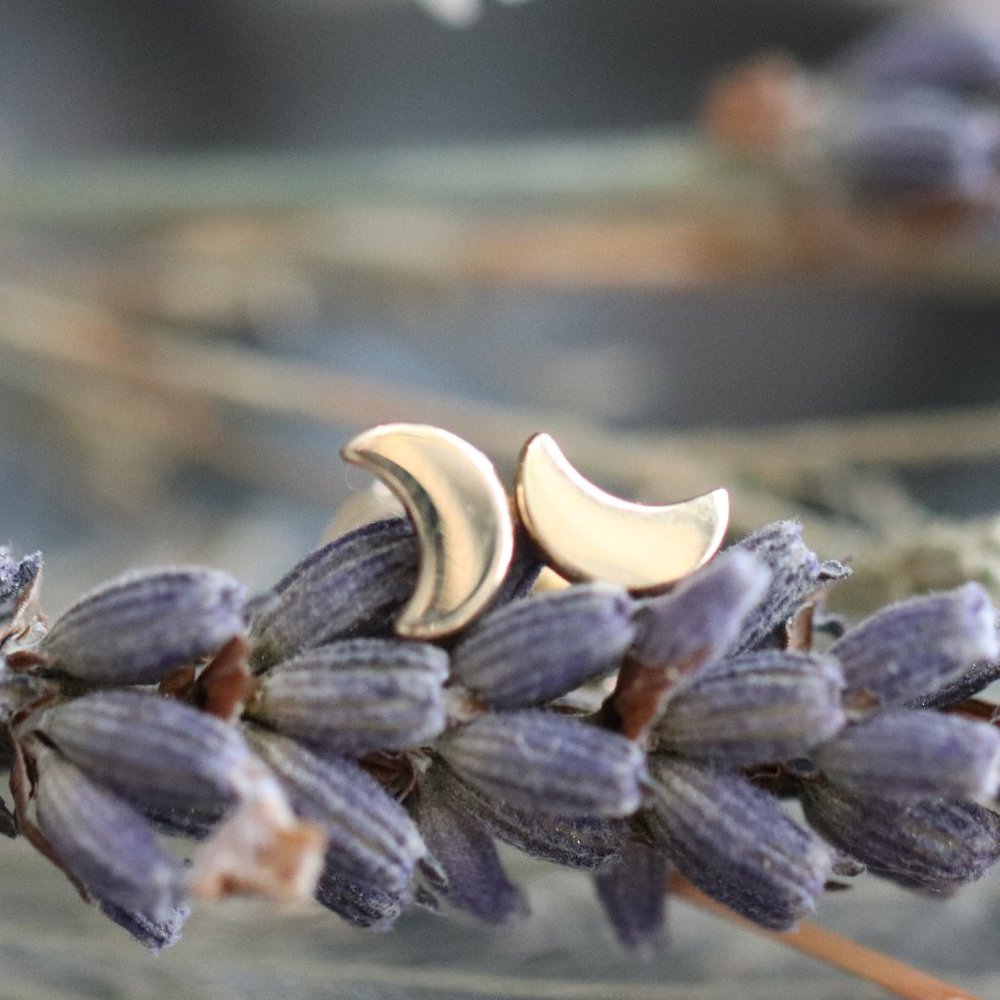 10K Solid White Gold "Garden Moon" Crescent Moon Earrings - by BrightlyandLilian